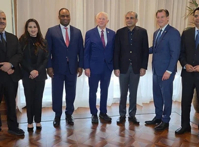 pakistan stands as wall between terrorism and world mohsin naqvi