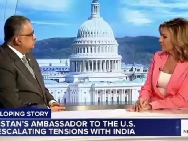 pakistan s ambassador to the us rizwan saeed sheikh during an interview with abc news screengrab pakistan s ambassador to the us rizwan saeed sheikh during an interview with abc news screengrab