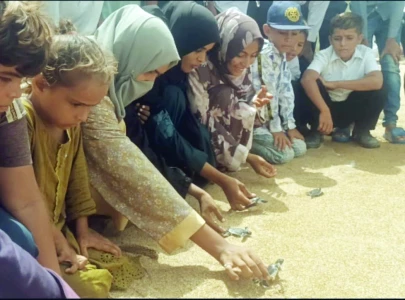 children release baby turtles in sea children release baby turtles in sea