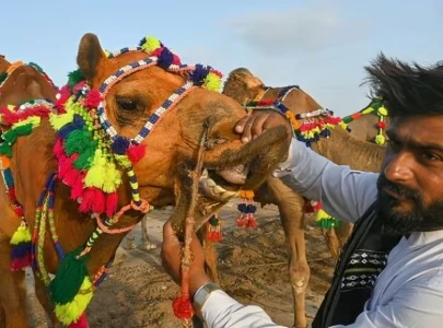 between reverence and reality the lost spirit of eidul azha between reverence and reality the lost spirit of eidul azha