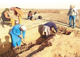ganweriwala excavation halts unexpectedly