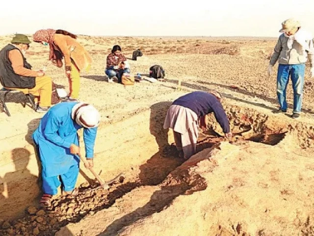 ganweriwala excavation halts unexpectedly photo online