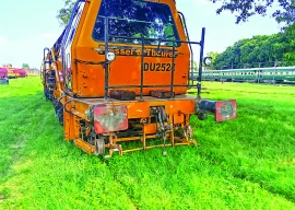 snake scare spurs swift action snake scare spurs swift action