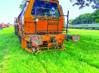 snake scare spurs swift action snake scare spurs swift action