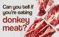 is that donkey in my biryani is that donkey in my biryani