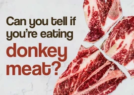 is that donkey in my biryani is that donkey in my biryani