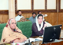 aseefa calls for political unity amid flood crisis aseefa calls for political unity amid flood crisis