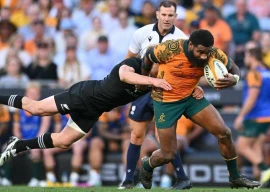 wallabies scrum half gordon back fit for bledisloe cup clashes wallabies scrum half gordon back fit for bledisloe cup clashes