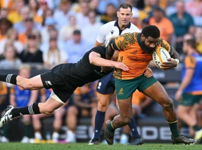 wallabies scrum half gordon back fit for bledisloe cup clashes wallabies scrum half gordon back fit for bledisloe cup clashes