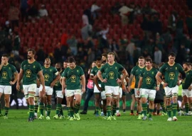 south africa eye back to back rugby championship crowns south africa eye back to back rugby championship crowns