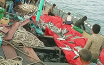 rains bring windfall for fishermen rains bring windfall for fishermen