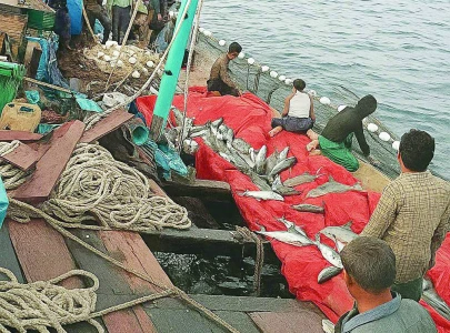 rains bring windfall for fishermen rains bring windfall for fishermen