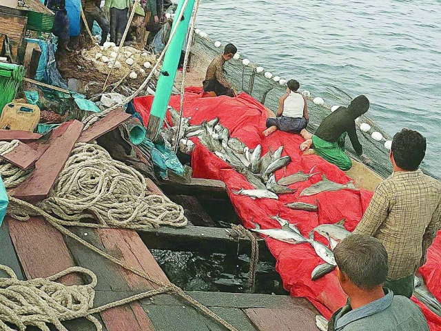 the monsoon season and tropical storm shakti have brought joy to fishermen who now haul in nets filled with fish shrimp and prawns photo express