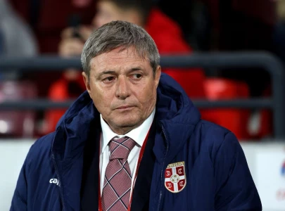 stojkovic quits as serbia coach after world cup qualifier defeat