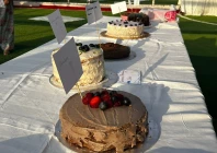 cakenic event hosted at the mmm arena in islamabad photo express