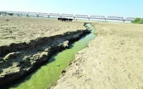 indus river turns toxic downstream at kotri indus river turns toxic downstream at kotri