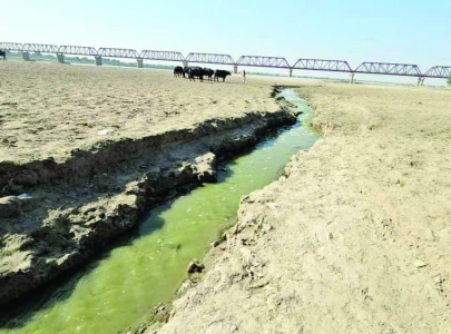 indus river turns toxic downstream at kotri indus river turns toxic downstream at kotri