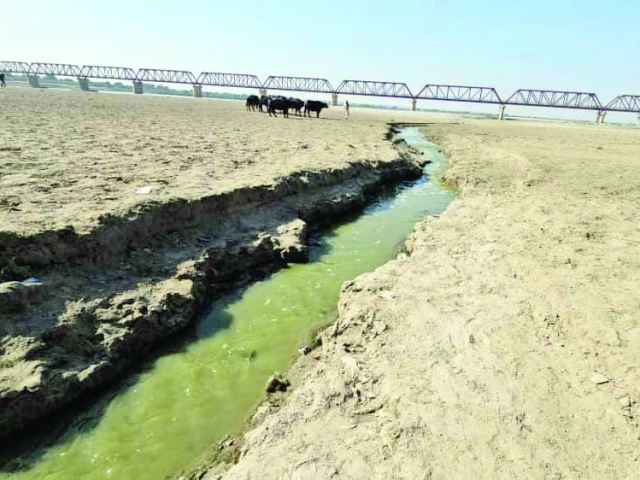 downstream of the kotri barrage the indus river has turned toxic from continuous discharge of untreated wastewater following the summer floods only sewage flows through the river s once mighty now dusty bed photo express downstream of the kotri barrage the indus river has turned toxic from continuous discharge of untreated wastewater following the summer floods only sewage flows through the river s once mighty now dusty bed photo express