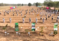 punjab surpasses 2025 monsoon plantation target despite record flooding