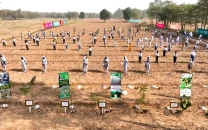 punjab surpasses 2025 monsoon plantation target despite record flooding