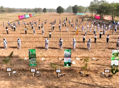 punjab surpasses 2025 monsoon plantation target despite record flooding