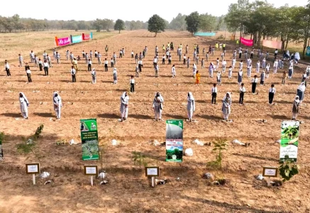 punjab surpasses 2025 monsoon plantation target despite record flooding punjab surpasses 2025 monsoon plantation target despite record flooding