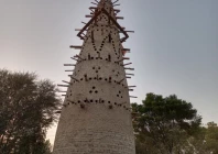 dera ismail khan s first bird tower gives urban birds a new home