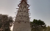 dera ismail khan s first bird tower gives urban birds a new home