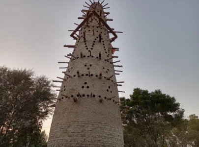 dera ismail khan s first bird tower gives urban birds a new home