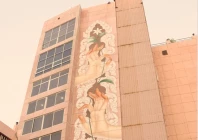 french artist chifumi unveils karachi blooms