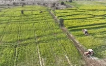 forest department recovers 800 acres in lal sohanra national park