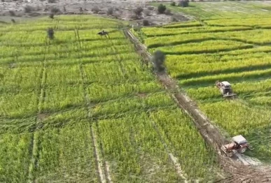 forest department recovers 800 acres in lal sohanra national park