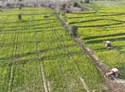 forest department recovers 800 acres in lal sohanra national park