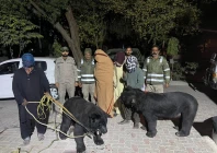 four arrested as wildlife operations intensify across punjab four arrested as wildlife operations intensify across punjab