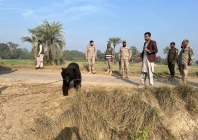 punjab wildlife rangers recover three black bears in one week