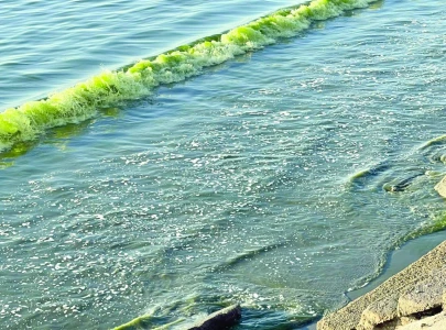 gwadar coast shimmers green
