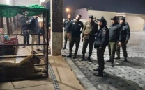 punjab reviews big cat ownership rules after pet lion attack in lahore punjab reviews big cat ownership rules after pet lion attack in lahore