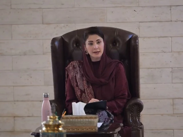 punjab cm maryam nawaz holds briefings over deaths of young woman and her infant daughter in lahore manhole incident screengrab punjab cm maryam nawaz holds briefings over deaths of young woman and her infant daughter in lahore manhole incident screengrab