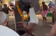 elephant attacks man during temple festival in kerala