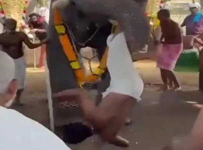 elephant attacks man during temple festival in kerala