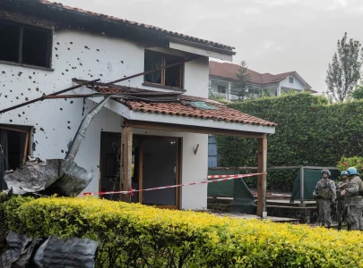 kenya arrests man trying to smuggle over 2 000 live ants in his luggage