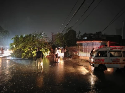 an uprooted tree is seen in karachi after heavy downpour and gusty winds sweep the metropolis on march 18 2026 photo express