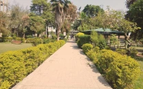 spring bloom transforms liaquat bagh spring bloom transforms liaquat bagh