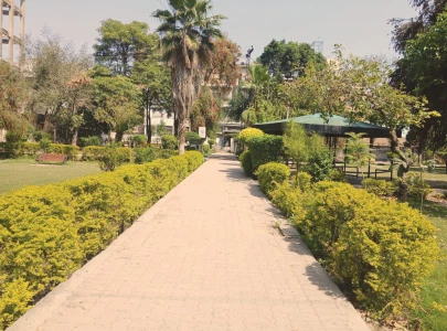 spring bloom transforms liaquat bagh spring bloom transforms liaquat bagh