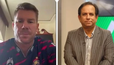 warner hails karachi kings bowlers