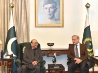 a meeting between president asif ali zardari and prime minister shehbaz sharif in islamabad on monday pid