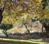 the fruits of a warming valley