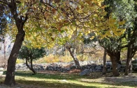 the fruits of a warming valley