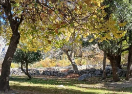 the fruits of a warming valley