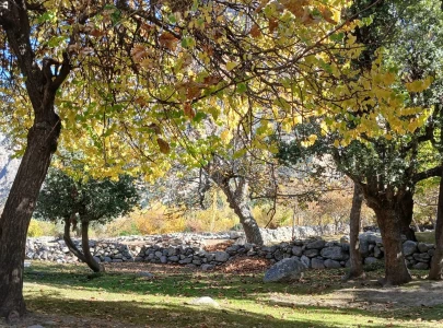 the fruits of a warming valley